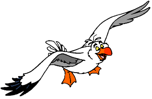 500x325 Seagull Clipart Transparent