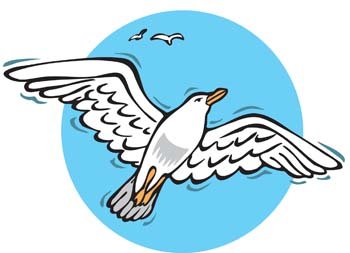 350x253 Seagull Clipart Vector