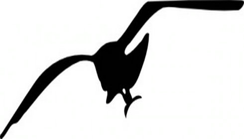 490x280 Seagull Schools Clipart Image