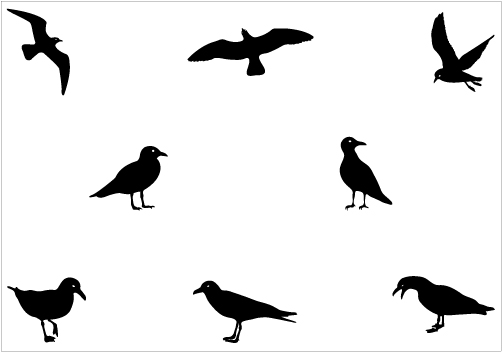 502x352 Seagull The World Clip Art
