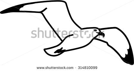450x241 Drawn Seagull Clipart