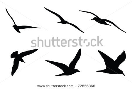 450x303 Graphics For Seagull Silhouette Graphics