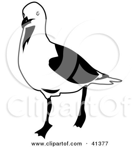 450x470 Royalty Free (Rf) Seagull Clipart, Illustrations, Vector Graphics