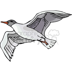 300x300 Royalty Free Seagull Flying Through The Air 130443 Vector Clip Art