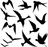 170x166 Seagull Clip Art