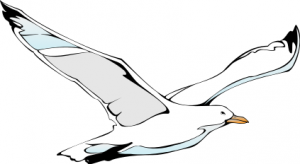 Seagull Clipart Black And White | Free download on ClipArtMag