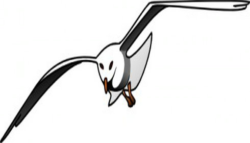 490x280 Seagull Clipart Angry