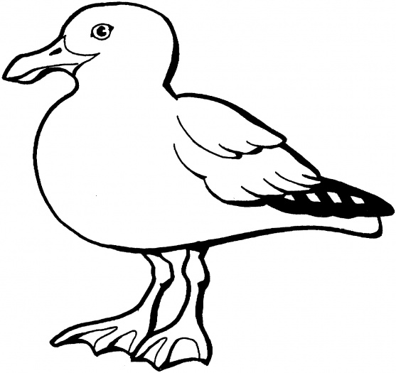 Seagull Clipart Black And White | Free download on ClipArtMag