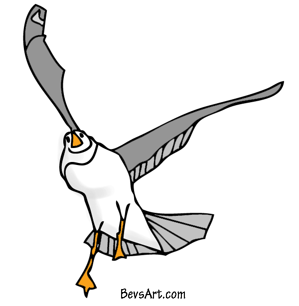 600x614 Seagull Clipart Gull