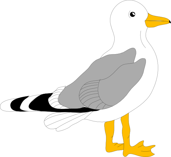 600x551 Cartoon Seagull Clip Art