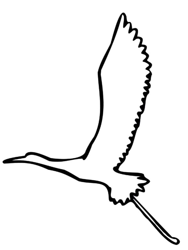 600x799 Flying Crane Bird Outline Coloring Pages