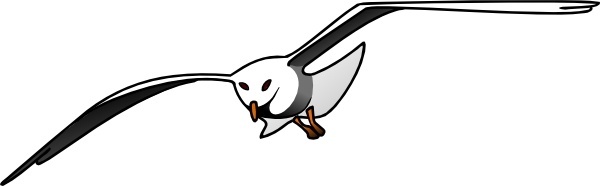 600x186 Free Seagull Vector Free Vector Download (78 Free Vector)