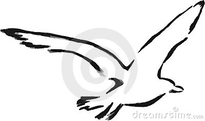 400x238 Image Gallery Seagull Outline