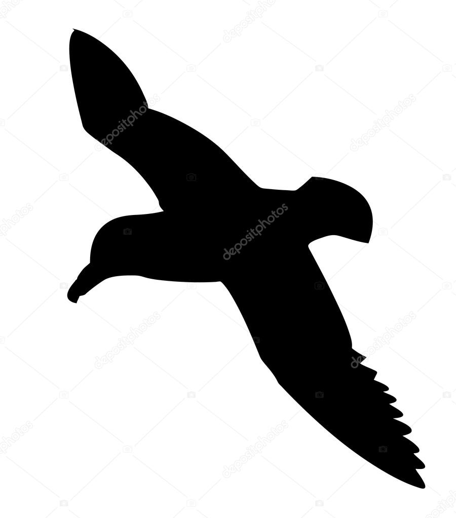 900x1024 Images For Gt Seagull Outline