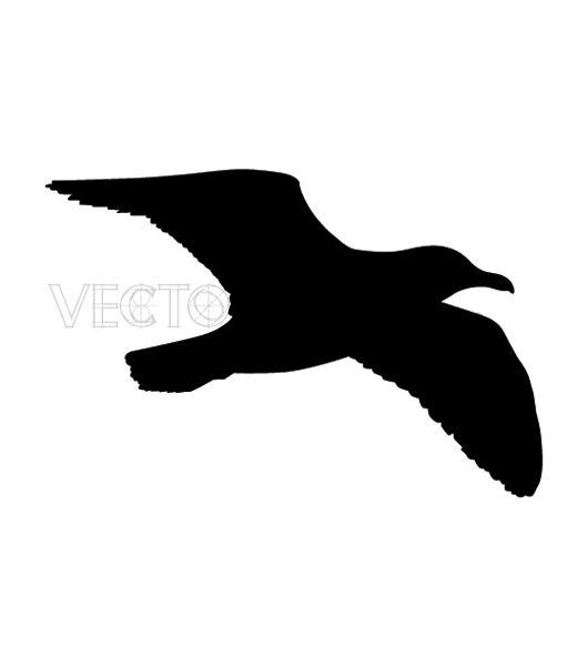530x600 Sea Bird Clipart Outline