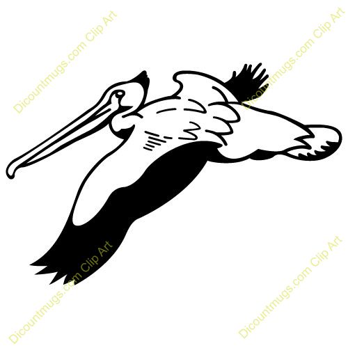 500x500 42 Best Pelican Outline Tattoo Images Alligators
