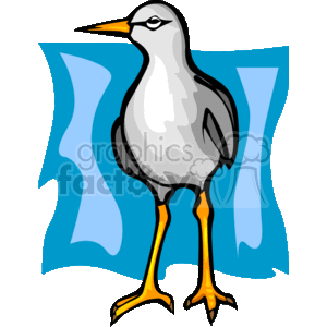 300x300 Royalty Free Seagull With Blue Background 130640 Vector Clip Art