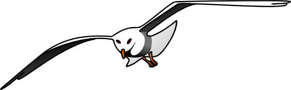 600x186 Seagull Clip Art