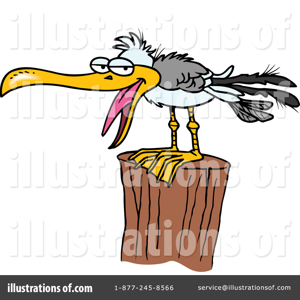 1024x1024 Seagull Clipart