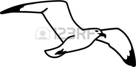 450x221 Seagull Hand Drawn Royalty Free Cliparts, Vectors, And Stock