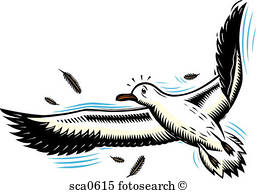 256x194 Seagull Illustrations And Clipart. 1,011 Seagull Royalty Free