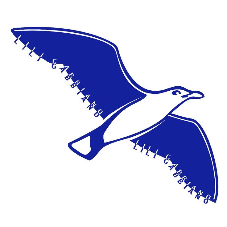 736x736 8 Best Seagull Images Chinese, Drawing And Graphics