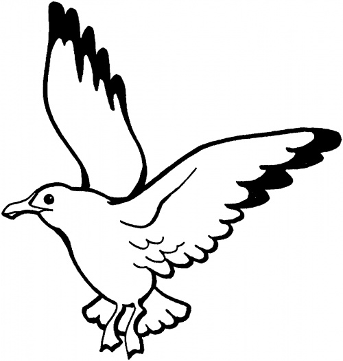 500x525 Seagull Cartoons Clipart