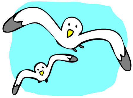451x331 Seagull Clipart 2