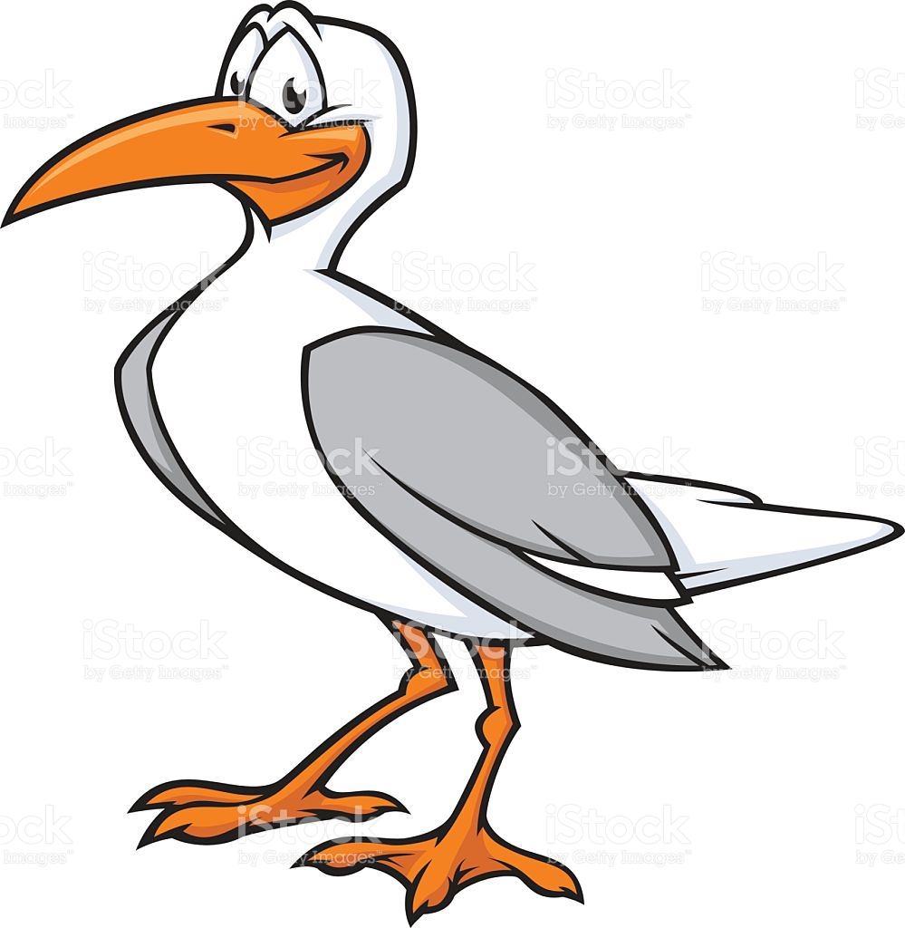 999x1024 Seagull Clipart Cute