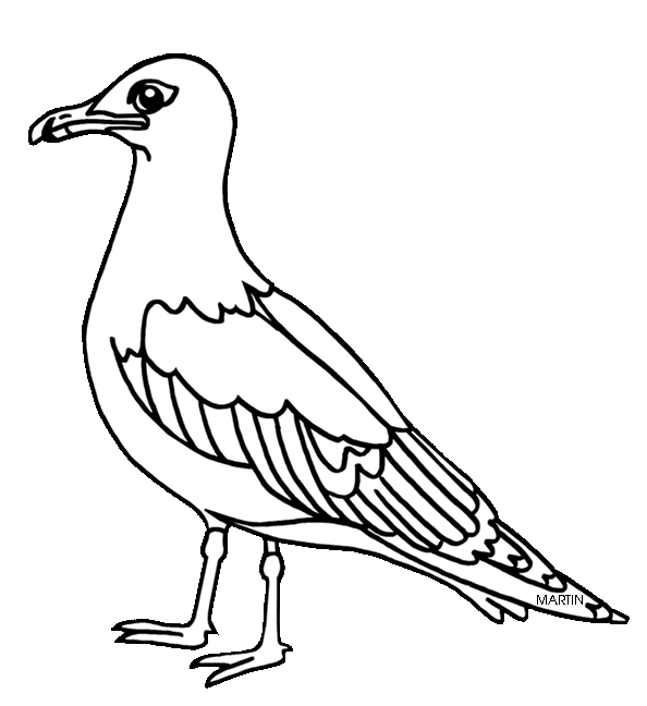 594x648 Seagull Clipart Free Bird
