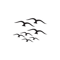 210x210 Seagull Clipart Outline