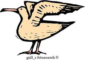 276x194 Seagulls Clipart Royalty Free. 3,951 Seagulls Clip Art Vector Eps