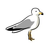 165x165 Seagulls Clipart