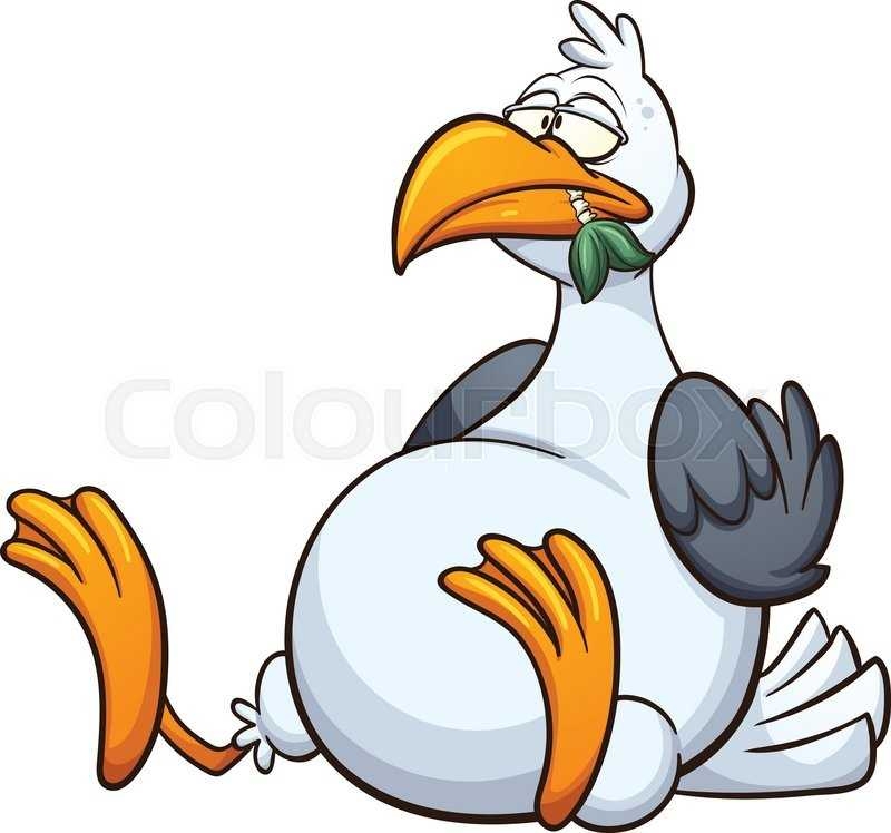 800x748 Top 10 Seagull Cartoon