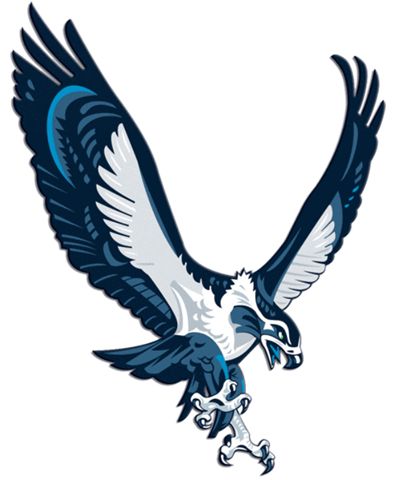 394x480 56 Best Seahawk Tattoo's Images Coloring, American