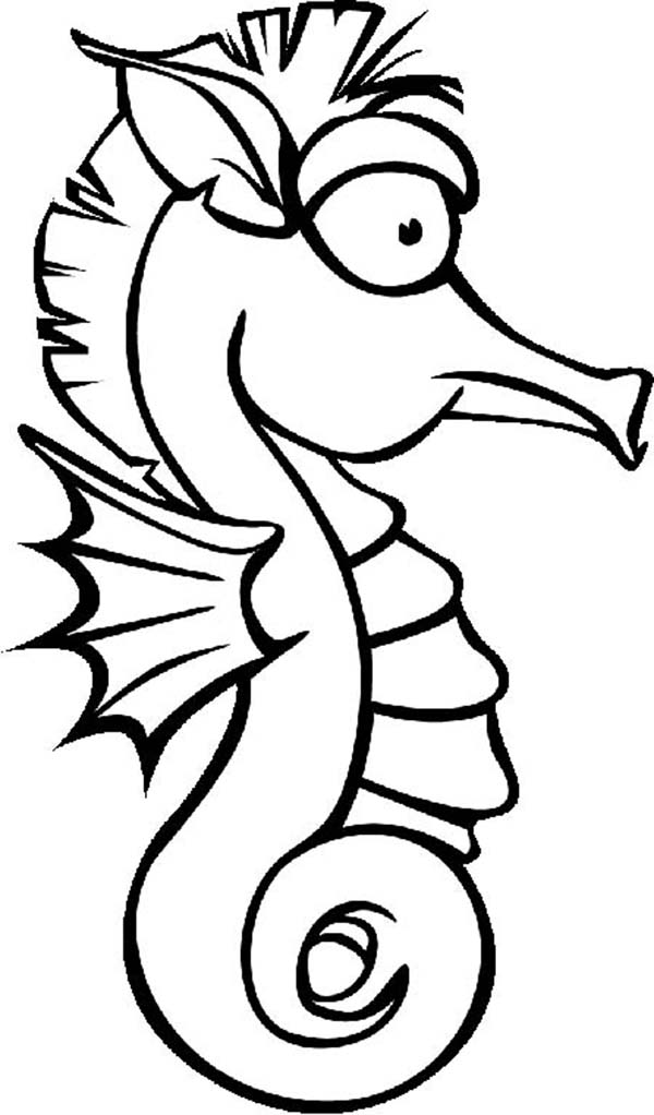 600x1022 Seahorse Cartoon Pictures