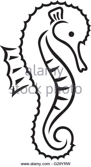296x540 Seahorse Stock Vector Images