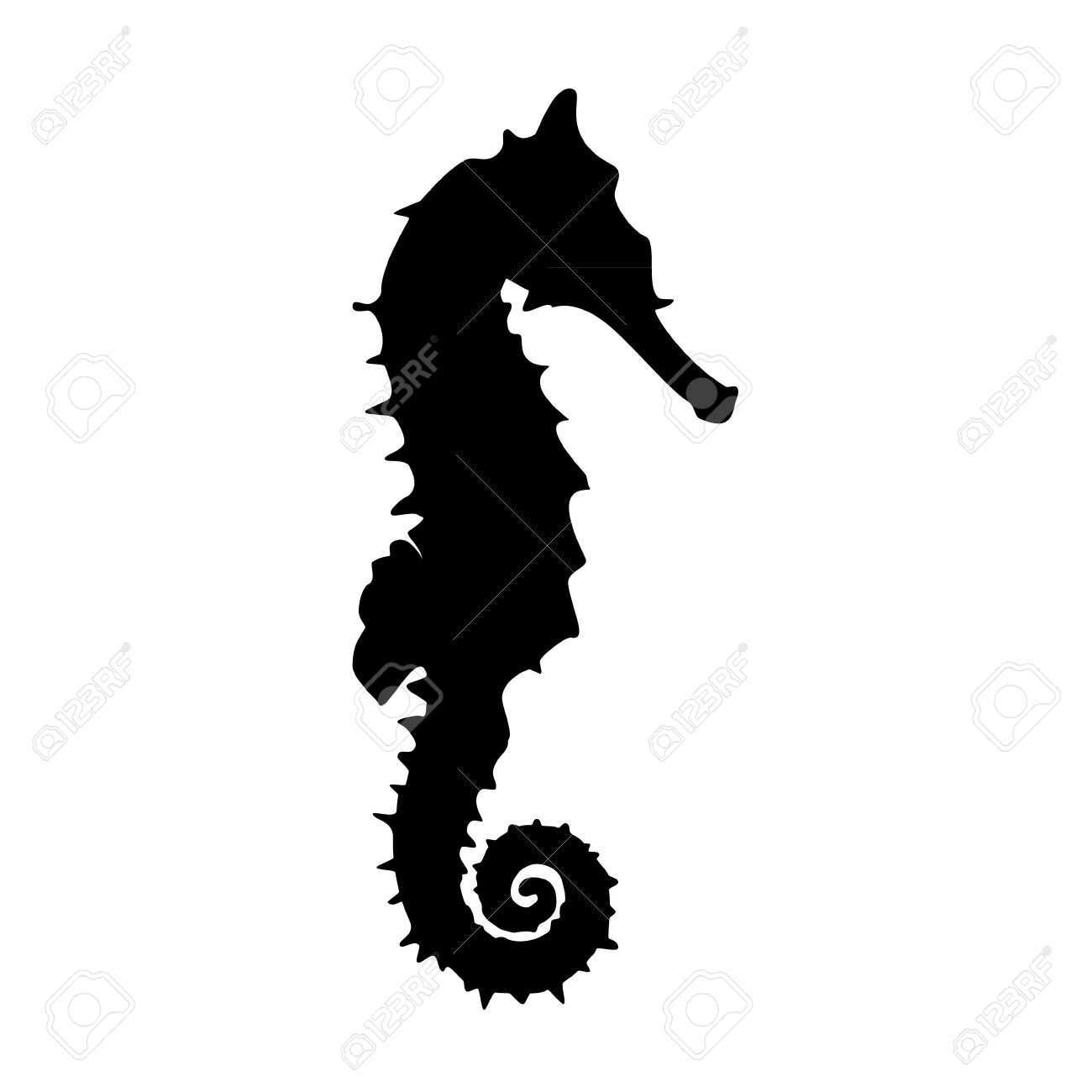 1300x1300 Vector Illustration Black Silhouette Of Sea Horse. Seahorse