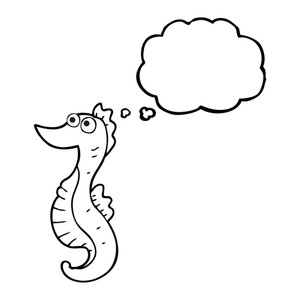 300x300 Freehand Drawn Black And White Cartoon Seahorse Royalty Free Stock