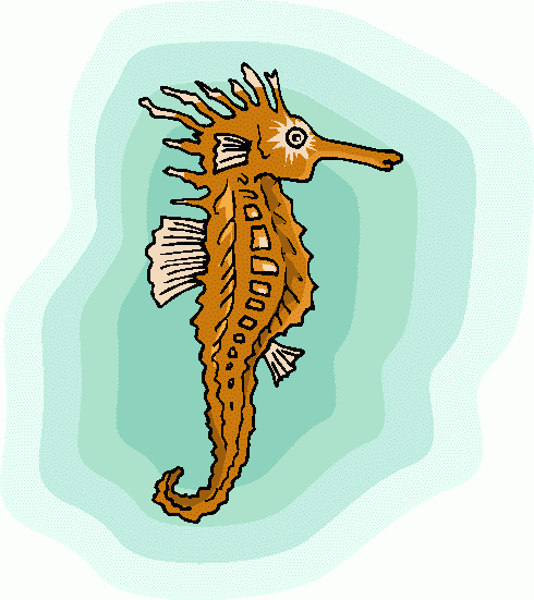 490x551 Seahorse Clip Art