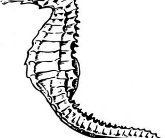 336x280 Seahorse Silhouette Clip Art Vector Clip Art Free Vector Free Download