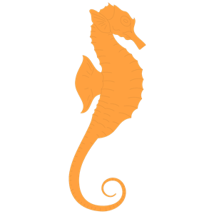 300x300 Seahorse Clip Art Free Clipart Images 6 4