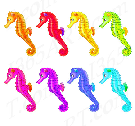 570x530 Seahorse Island Clipart, Explore Pictures