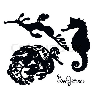320x320 Graphic Vector Seahorse Drawn In A Line Art Style. Ocean Creature
