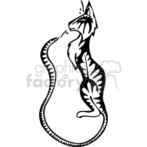 300x300 Royalty Free Black And White Tabby Cat With Extra Long Tail 372920
