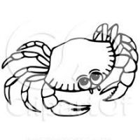 200x200 Seahorse Clipart Black And White