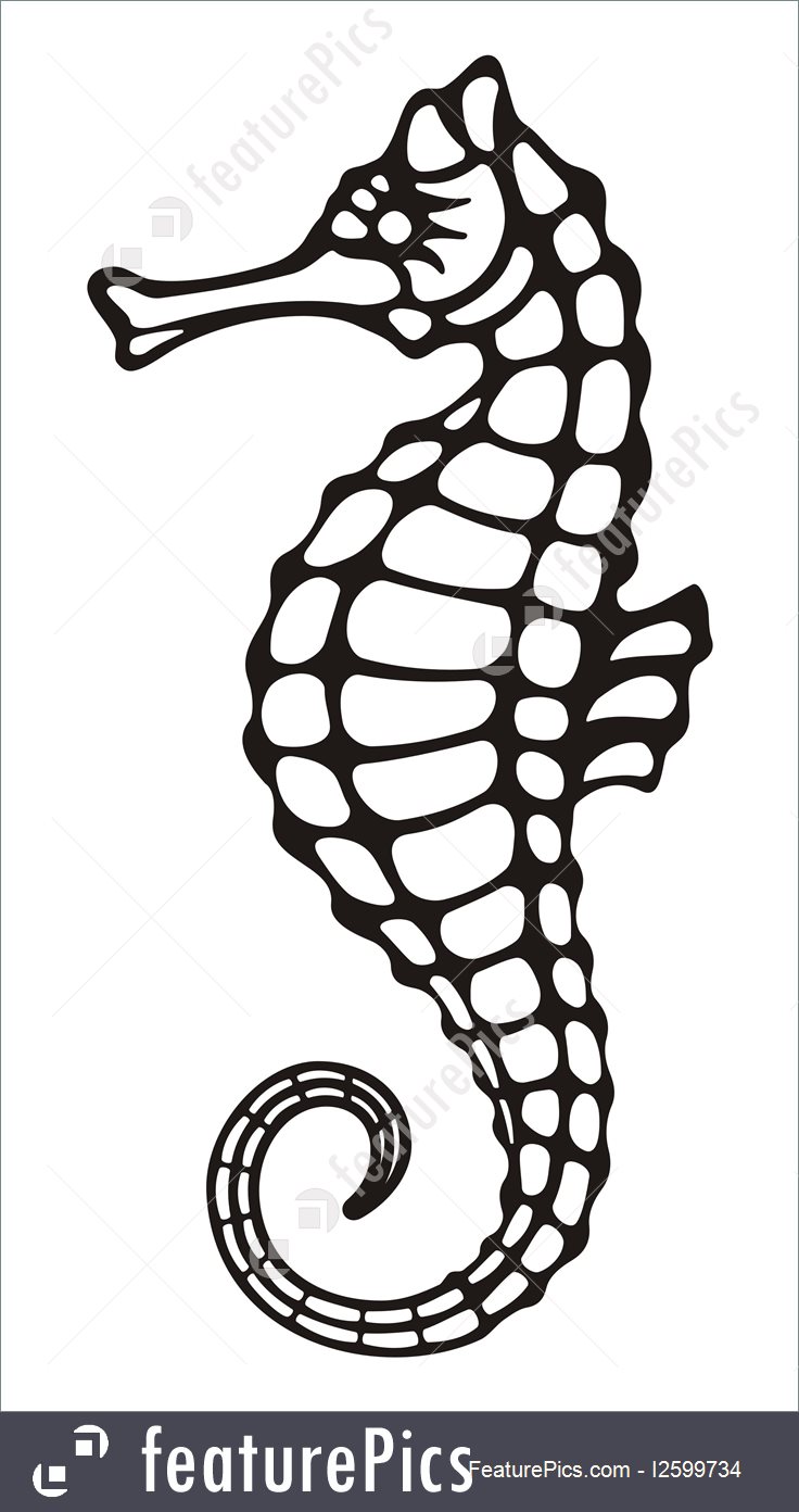 736x1392 Seahorse Illustration