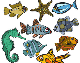 340x270 Fish Clipart Fish Clip Art Seahorse Clipart Angelfish