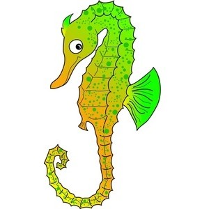 300x300 Realistic Clipart Seahorse