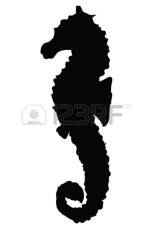 300x450 Illustration Of A Seahorse Silhouette On White Background Royalty